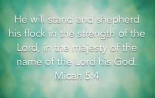 chuches in fort collins